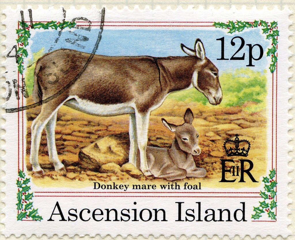 People of five races