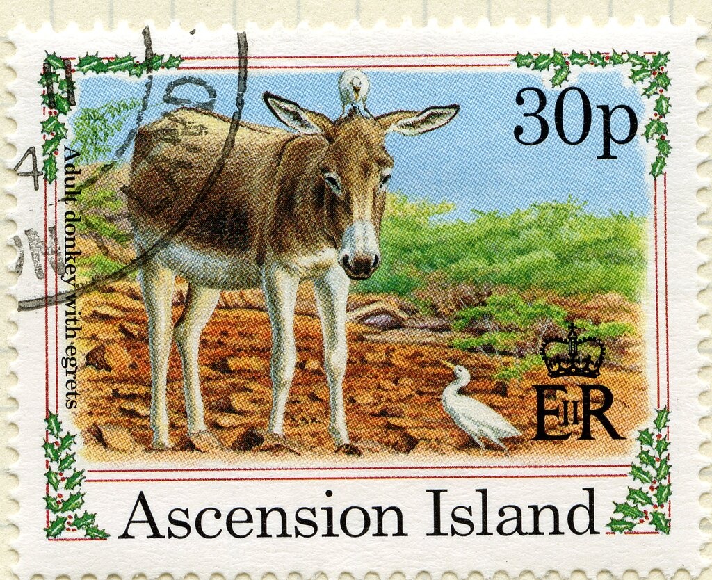 Peter Egerton Warburton (1813-1889)