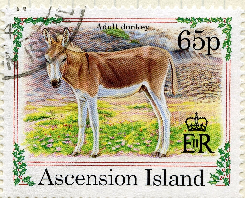 Child with Philatelie