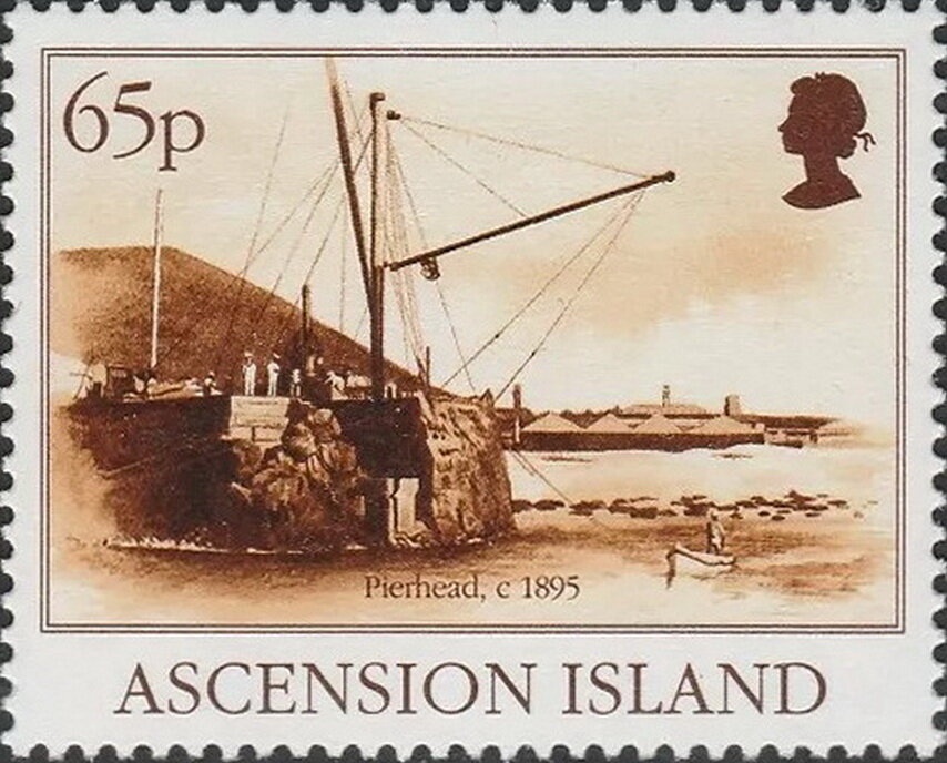 Calatropis procera and Passiflora foetida