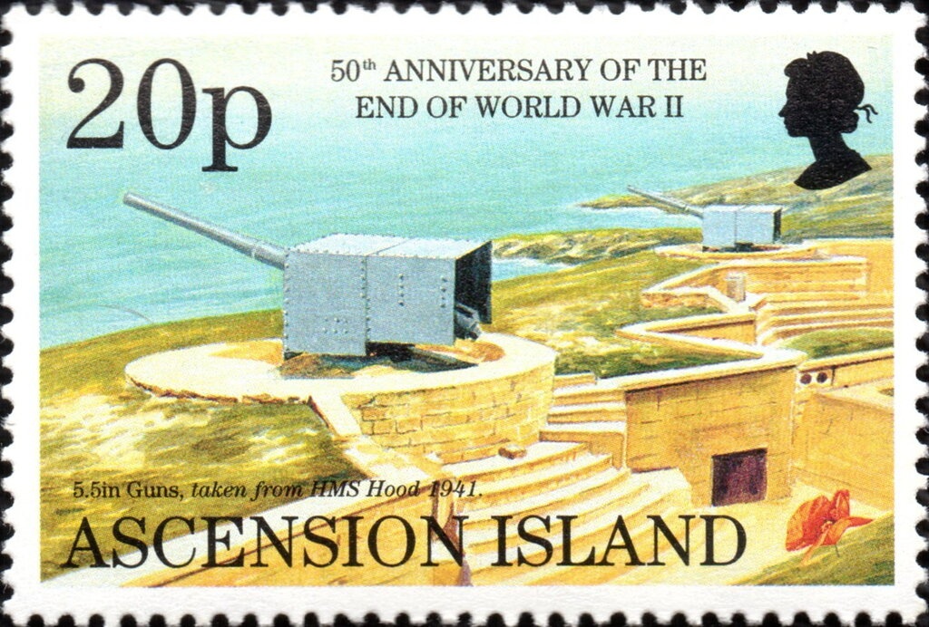 Echidna (Tachyglossus aculeatus)