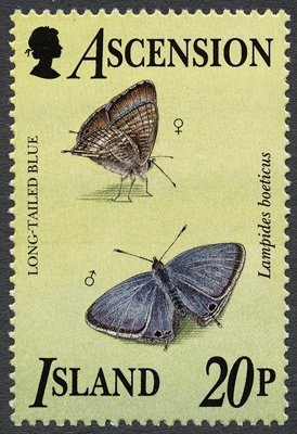 South Atlantic Ridge