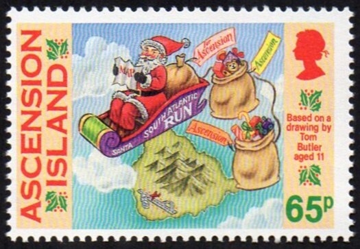 Hawksbill Turtle (Eretmochelys imbricata)