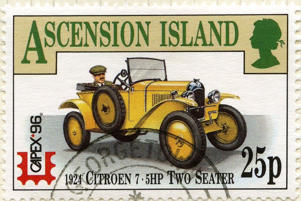 Burrowing Owl (Athene cunicularia), Porcupine Fish