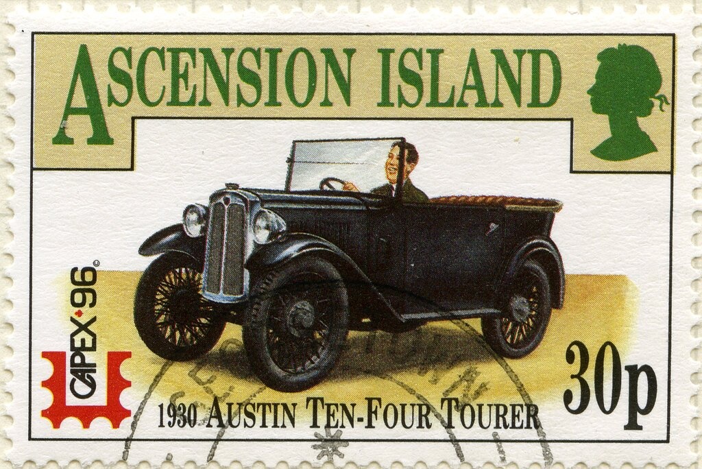 Feather Duster Worm (Sabellidae sp)