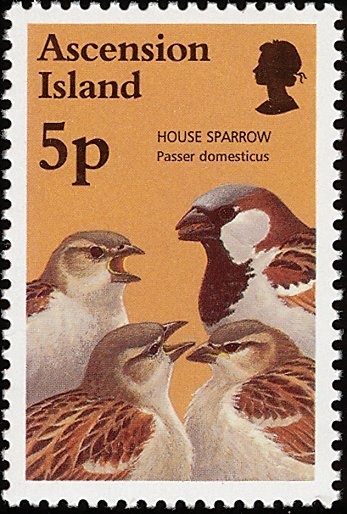 Royal Wedding of Prince Harry & Meghan Markle