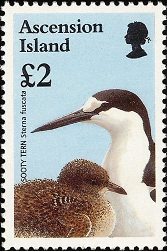 St. Helena (Mail Ship)