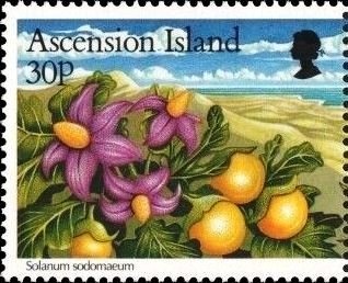 International Year of the Dialogue of Civilisation