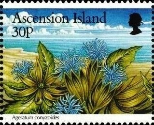 Pipe Construction, Cannon