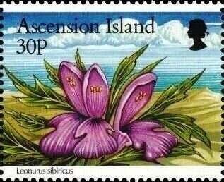 Hark, the herald angels sing