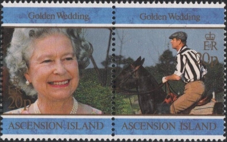 Rock Beauty (Holacanthus tricolor)