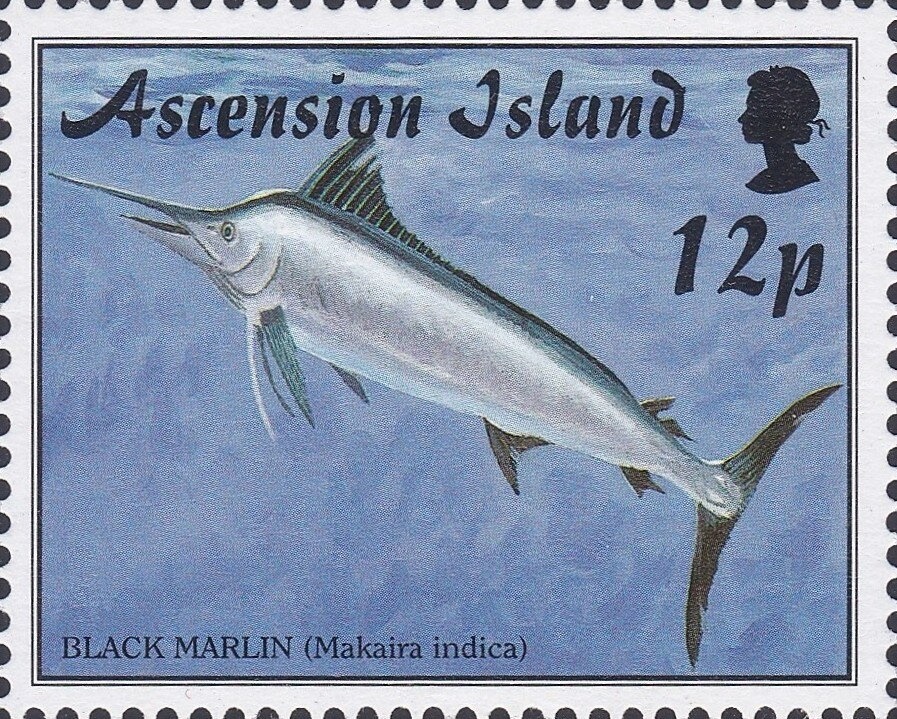 RFA Tidespring re-fuelling HMS Antrim