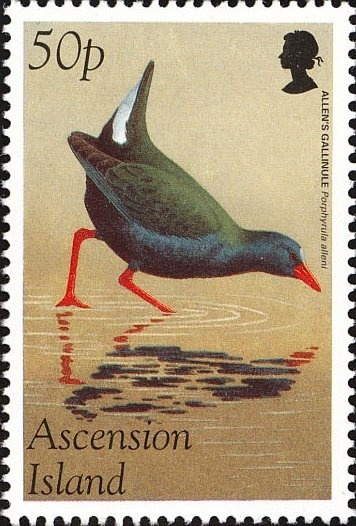 Paralympian of the Year - Lauren Parker