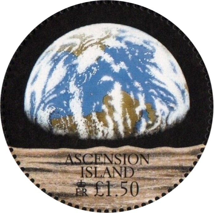 Sisyrinchium angustifolium