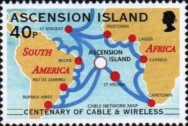 Bluntnose Sixgill Shark (Hexanchus griseus)