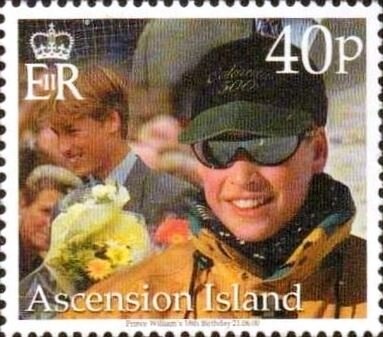 Centenary of First Western Australia Stamp (Black Swan)