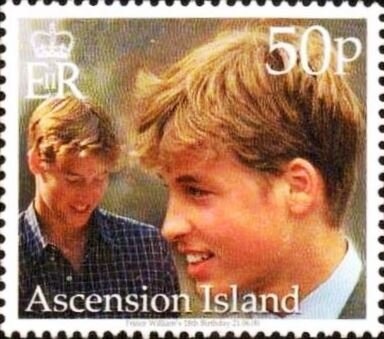 Snowy Egret (Egretta thula)