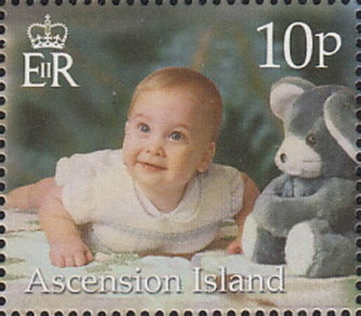 Royal Marines Light Infantry, Ascension Island, 19th century