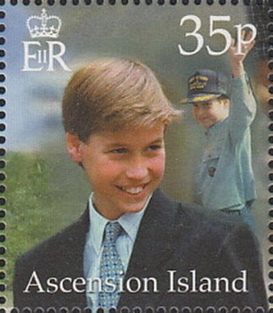 Large Green-banded Blue (Danis danis)