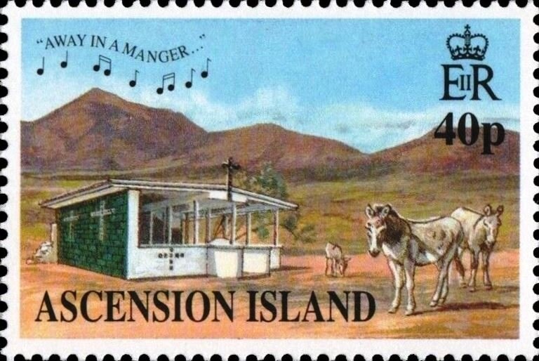 Cayenne Tern (Sterna eurygnatha)