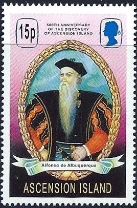 Green Sea Turtle (Chelonia mydas)