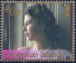 Bald Eagle (Haliaeetus leucocephalus)