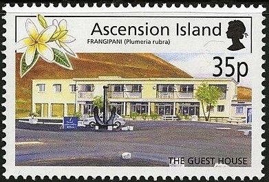 Crested Caracara (Polyborus plancus)