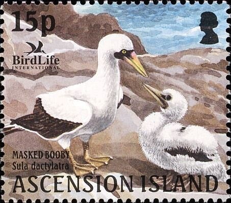 Centenary of Sydney Stock Exchange