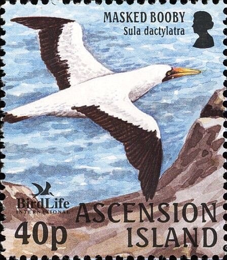 Ariane Downrange Station