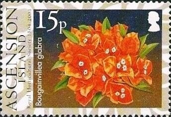 Royal Navy Equipment