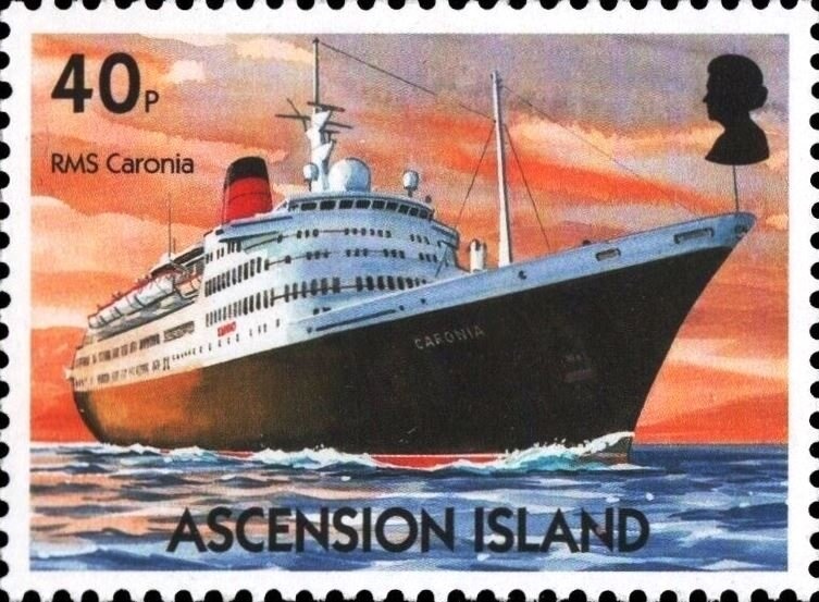 Kolanchoe (Bryophyllum pinnatum)