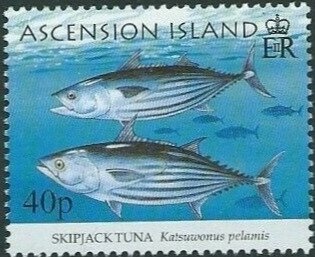 Australia Test Cricket- Batsman and Umpire