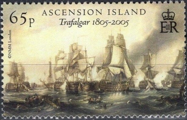 Scarlet Spiderling (Boerhavia coccinea)