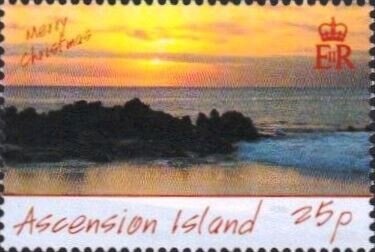 Spiny Mirbelia (Mirbelia spinosa)