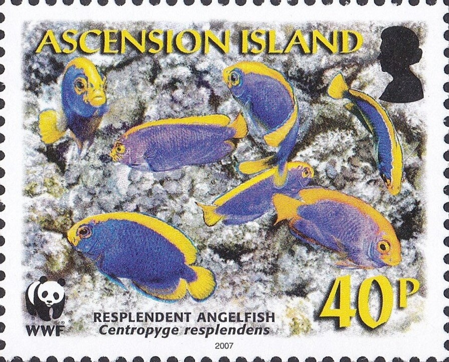 In The Garden - Special Edition