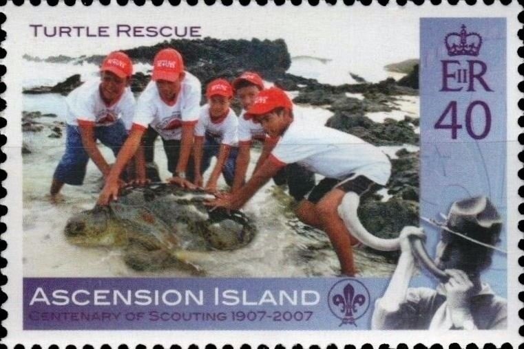 White Peacock (Anartia jatrophae)