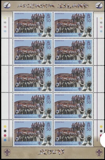 Ostrich (Struthio camelus) - juvenile