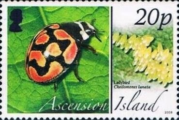 Globe depicting Australia