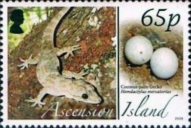 Pollution - P(14½ x 14)