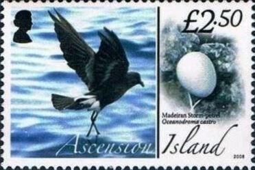 75th Anniversary of D-Day