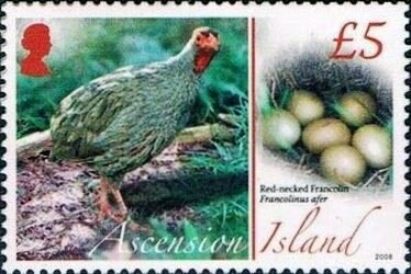 Queen Elizabeth II (1926-2022)