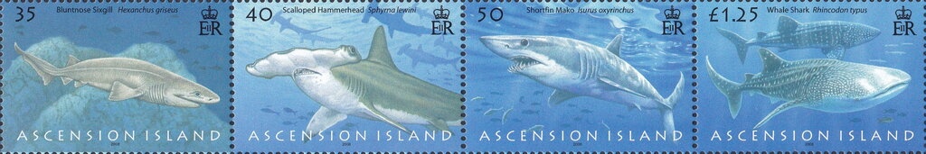 Giant Swallowtail (Papilio cresphontes)