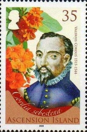 Apollo 17 Lunar Rover