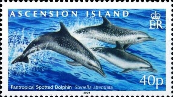 Princess Anne and Captain Mark Phillips