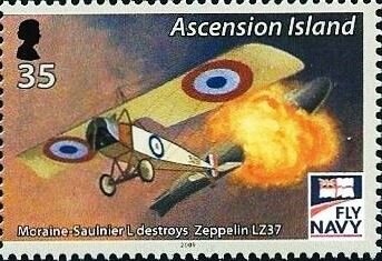 Wattle (Acacia pycnantha) - phosphor paper