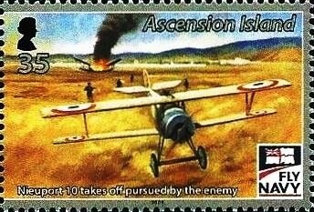 White-Striped Cleaner Shrimp (Lysmata amboinensis)