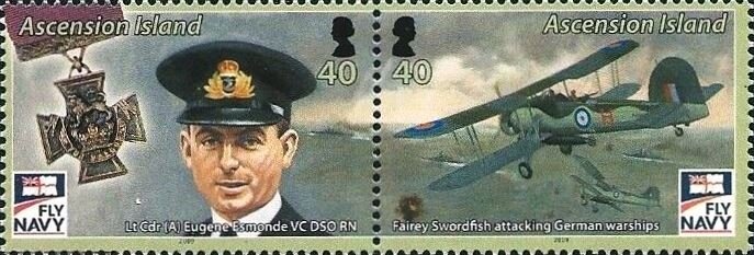 Green Sea Turtle (Chelonia mydas)