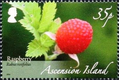 National Stamp Week- Postman and Letters