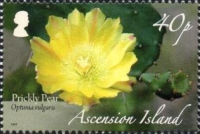 Melbourne Cup, Racehorse "Archer"