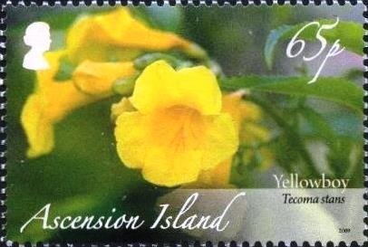 Queen Elizabeth II 5c Surcharge - I(BR)